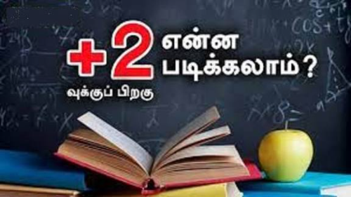 பிளஸ் 2 க்கு பிறகு என்ன படிக்கலாம்? எங்கு படிக்கலாம்?